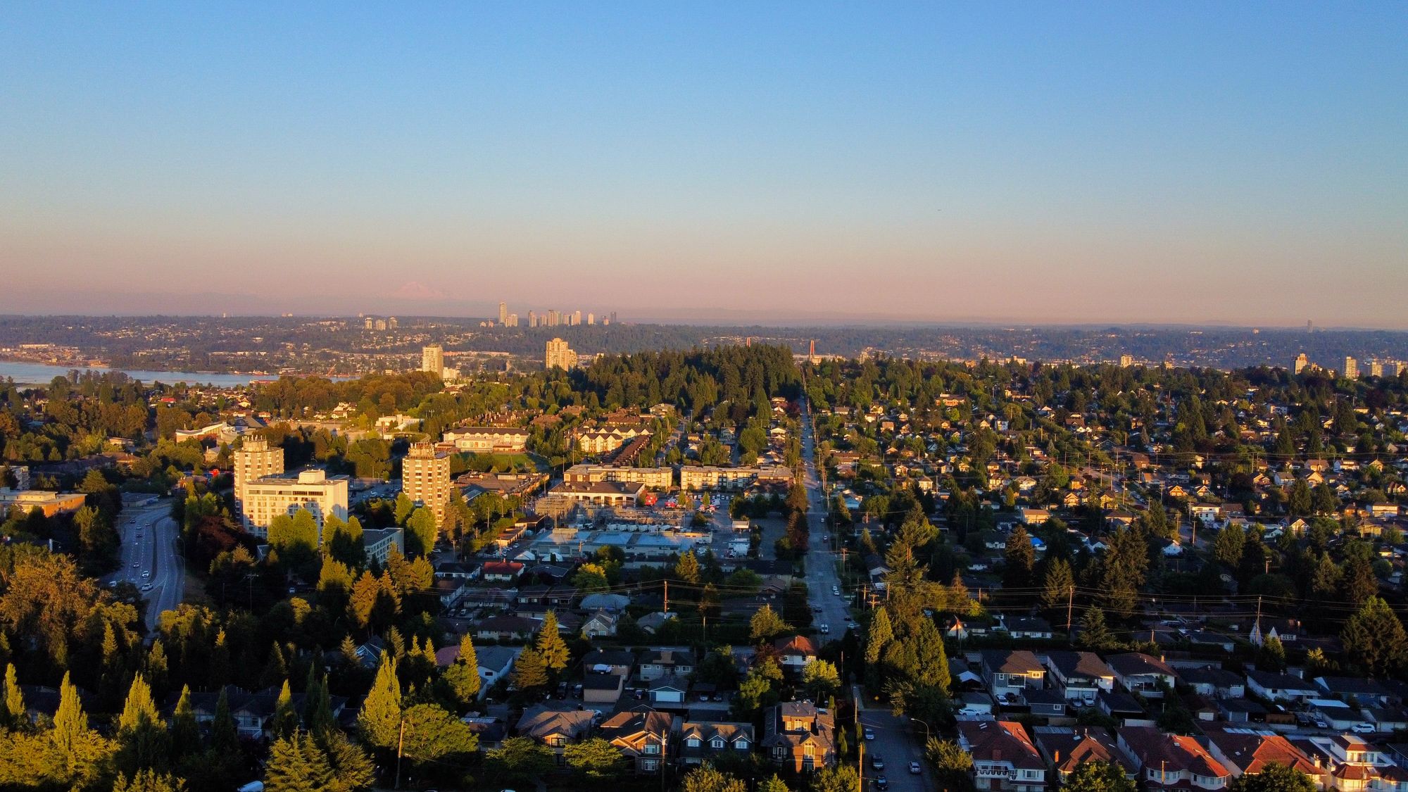 A drone photo looking down a street in a city with significant tree coverage.