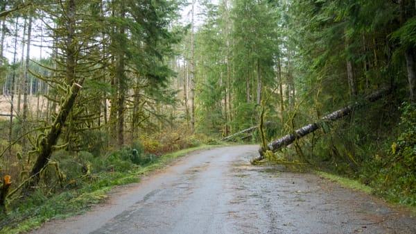 Fighting and Winning Insurance Denials